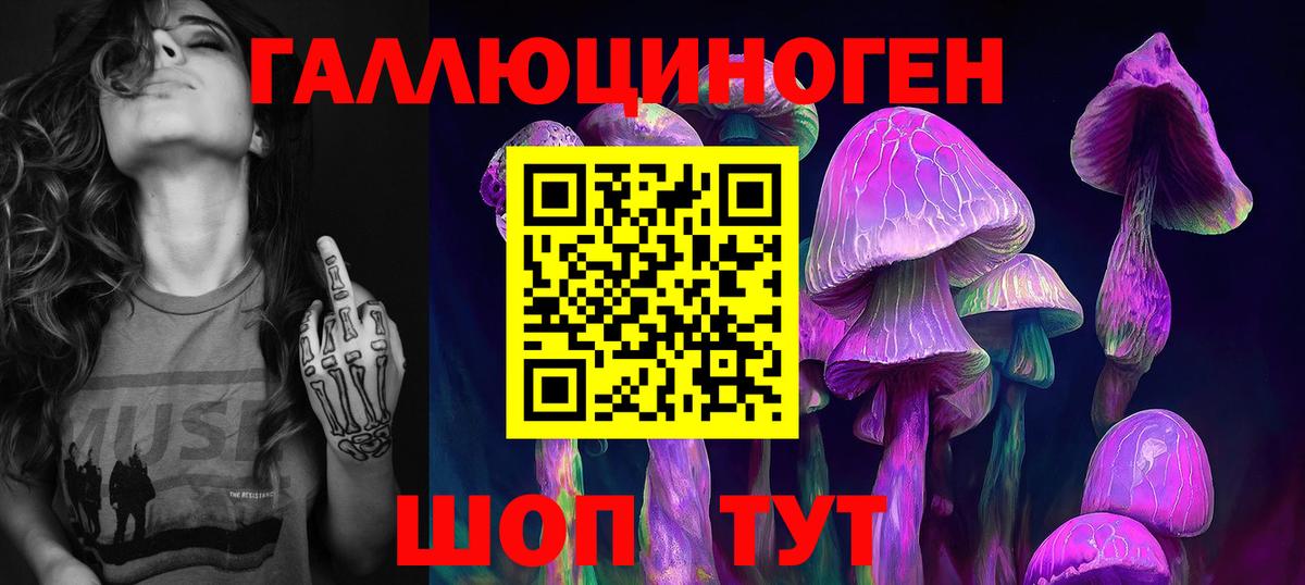 Белая Калитва  Псилоцибиновые грибы Psilocybine cubensis  Вход с VPN 